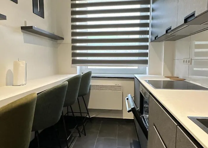 Daire Studio-apartament Free Parking Domus Kushal